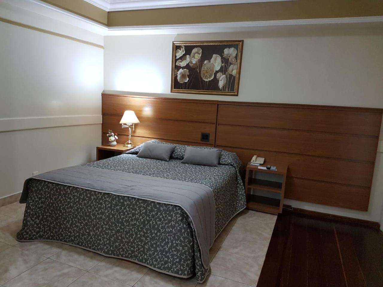 Tamareiras Park Hotel Uberaba Exteriör bild